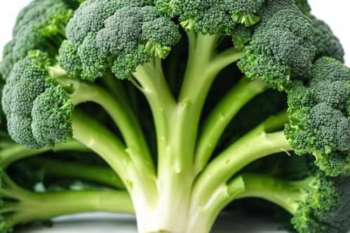 凝萃自然之绿 西蓝花的新鲜艺术与广告摄影美学