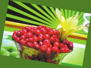 从第十四届中国国际农交会看甘肃特色农产品如何创品牌