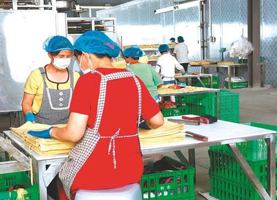 定远县 建14个乡镇产业园，把工厂车间搬到田间地头