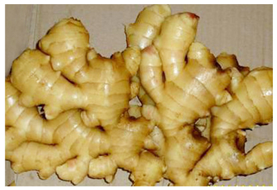 从冷热计量仪表到辛辣蔬菜 探索精准计量与农业供应的多元平台